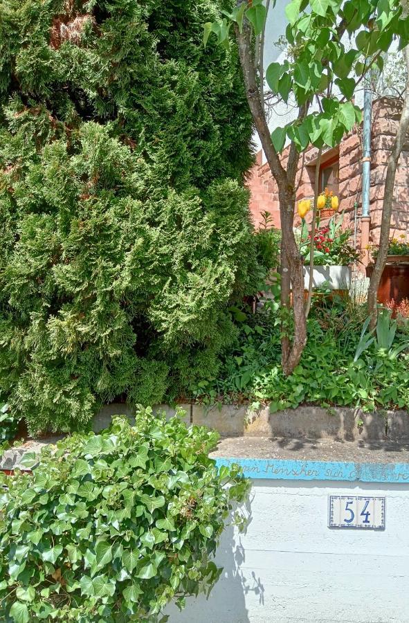 Casa La Collina Delle Ginestre Apartman Eberbach  Kültér fotó