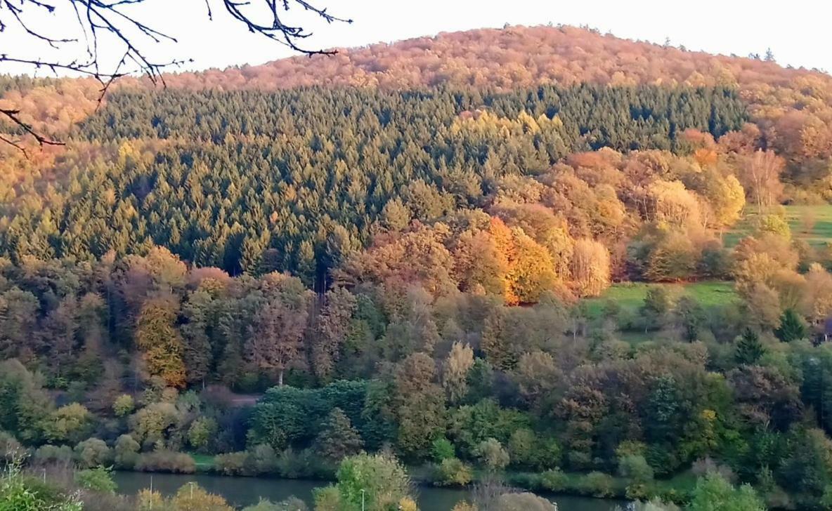 Casa La Collina Delle Ginestre Apartman Eberbach  Kültér fotó